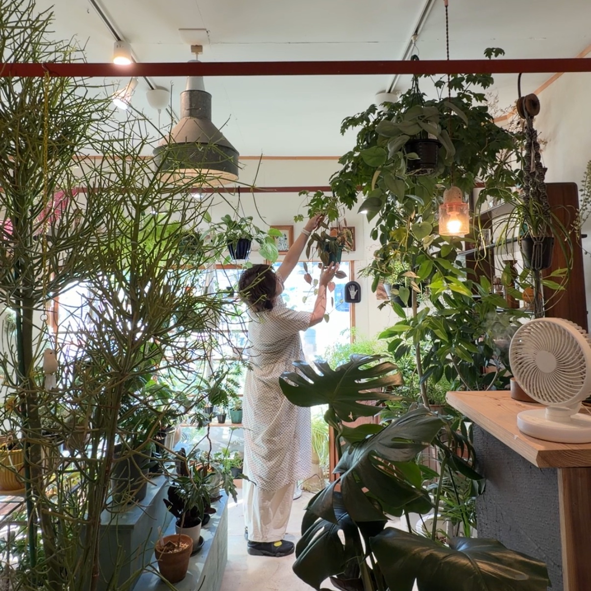 店主